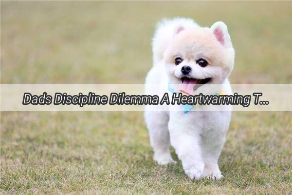 Dads Discipline Dilemma A Heartwarming Tale of a Puppys Punishment and Redemption